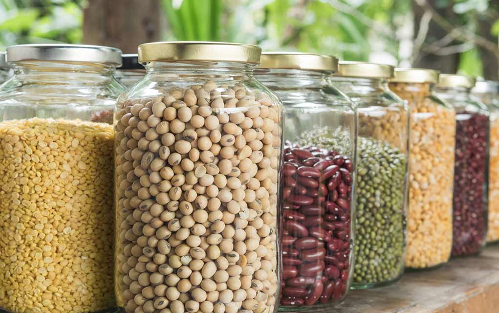 Anti-Nutrients-Myth-or-Threat (1)